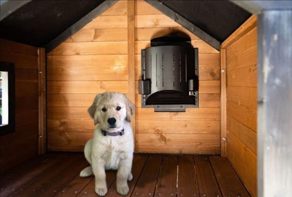 Dog with kennel heater